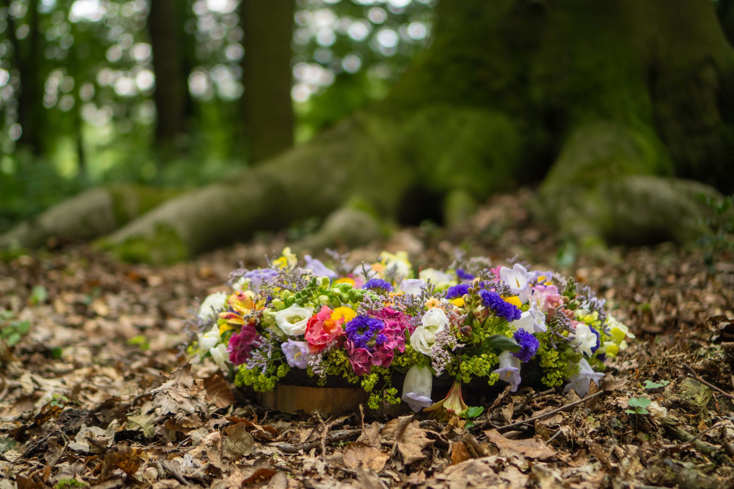 Blumengesteck auf dem Waldboden vor einem Baum im Ruhewald Sandfort, darüber der Schriftzug "Trauerfall" und ein Link mit der Aufschrift "mehr erfahren".