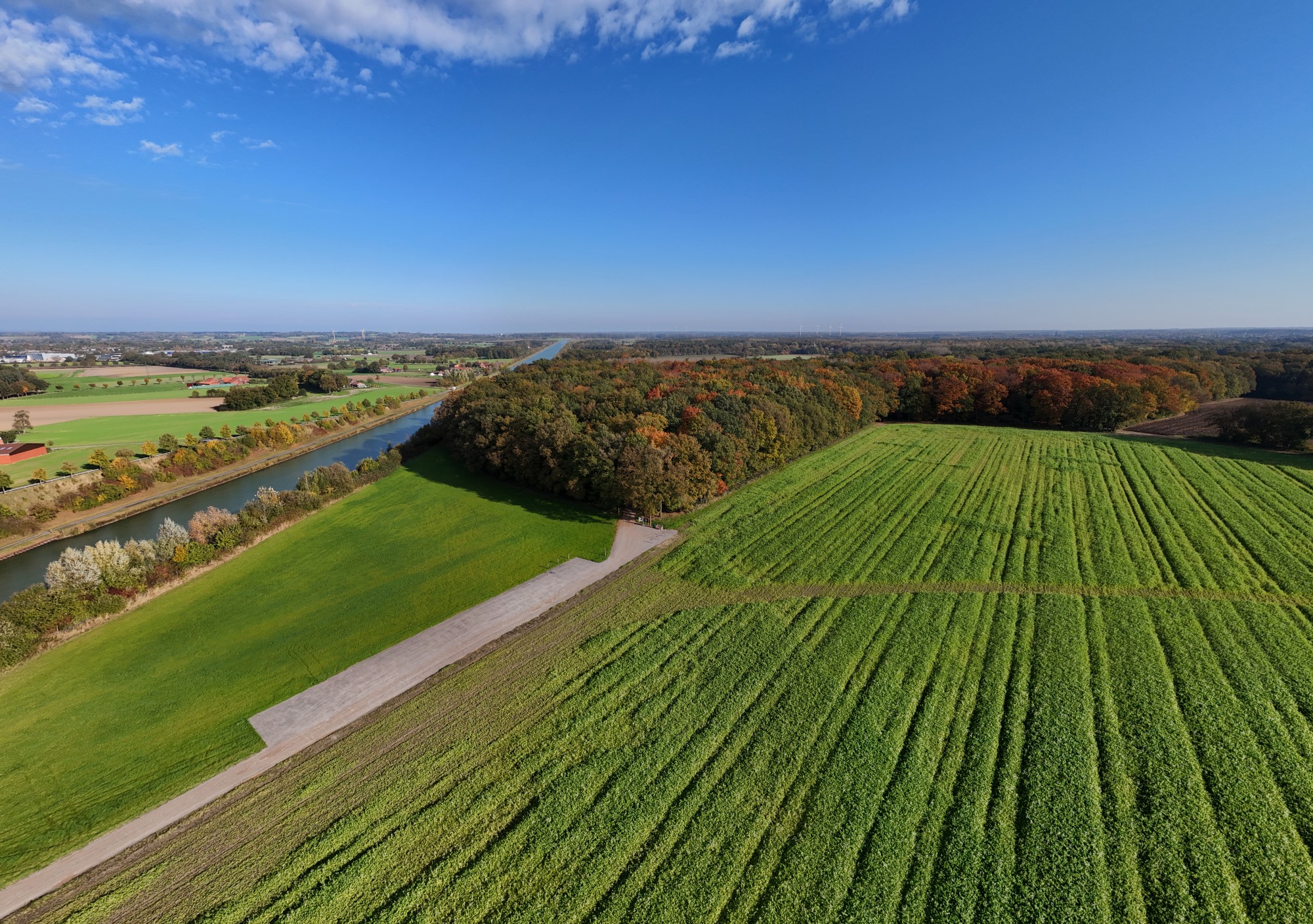 Luftaufnahme vom Ruhewald Sandfort in Olfen. Sommerliche Landschaft mit blauem Himmel und weißen Wolken.