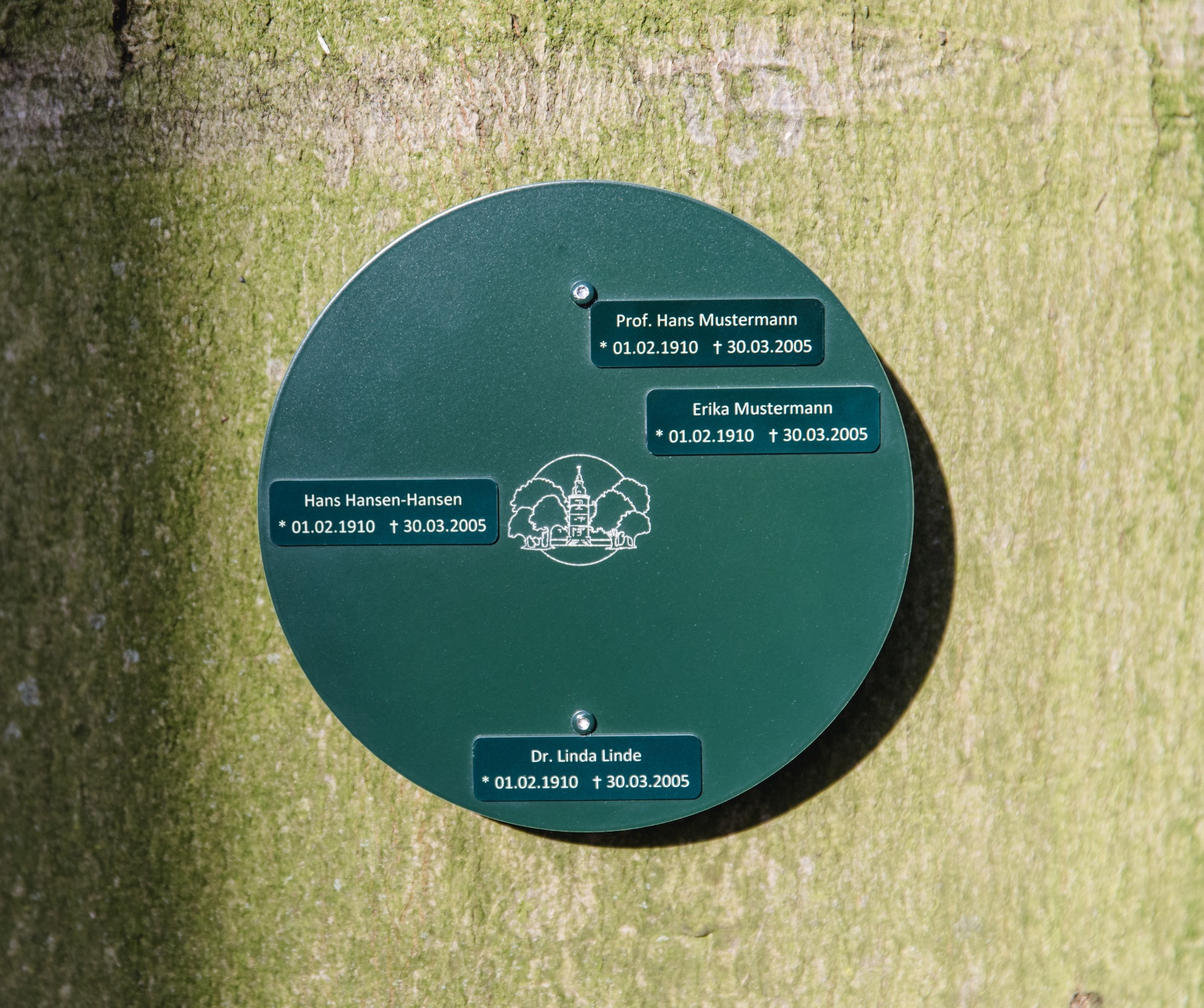 Runde grüne Gedenktafel mit graviertem Ruhewald-Sandfort-Logo und vier Namensfeldern für Verstorbene, hochwertige Grabgestaltung auf Naturstein-Hintergrund in Olfen.